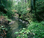 Waterman Gap at Boulder Creek